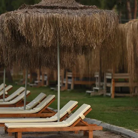 Pine & Luxury Concept Отель *