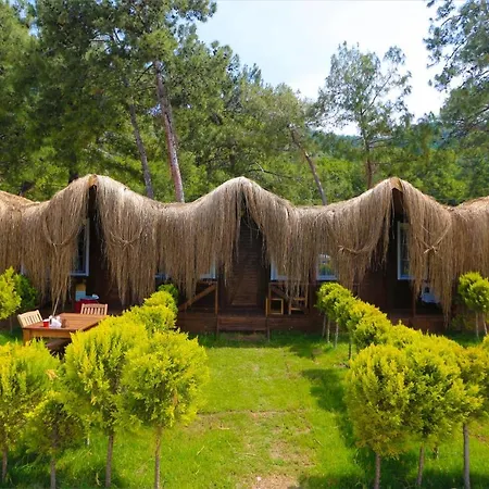 Pine & Luxury Concept Ölüdeniz