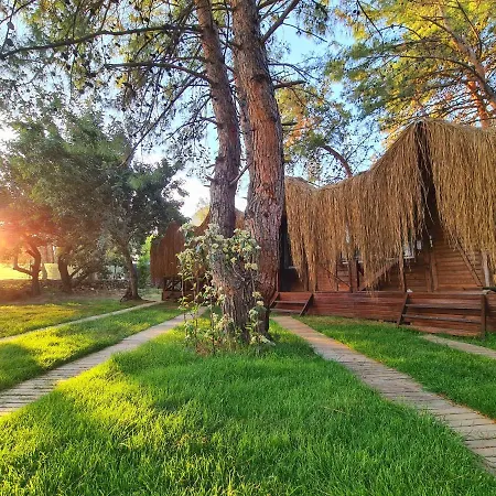 Pine & Luxury Concept Отель Олудениз