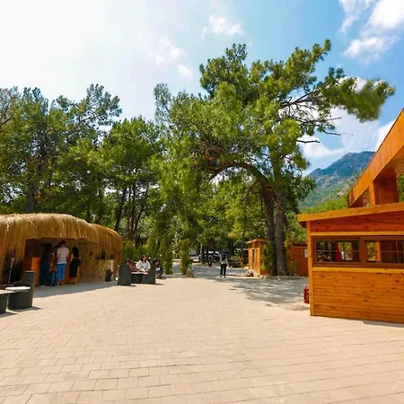 Pine & Luxury Concept Отель *