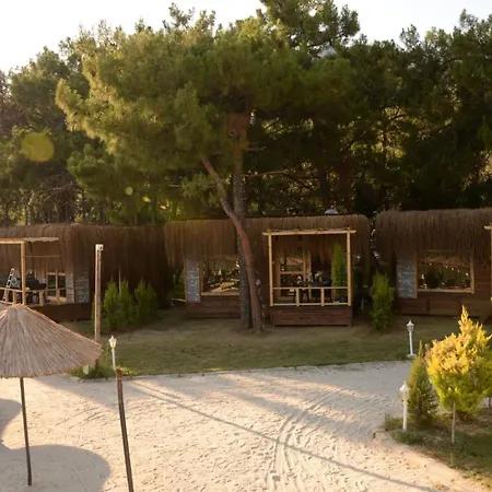 Pine & Luxury Concept Отель