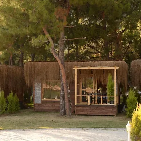 Отель Pine & Luxury Concept *