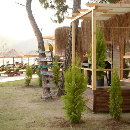 Pine & Luxury Concept Отель Олудениз
