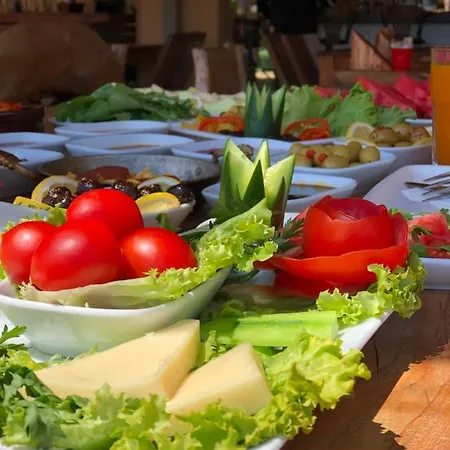 Pine & Luxury Concept *