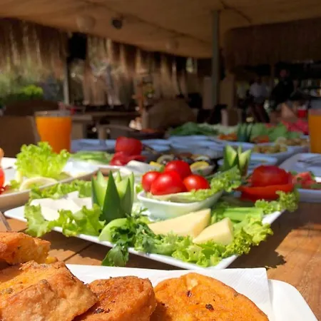 Hotel Pine & Luxury Concept *