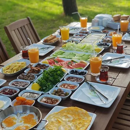 Pine & Luxury Concept Oludeniz