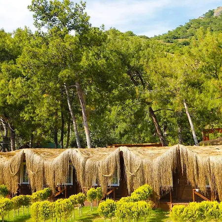 Pine & Luxury Concept * Oludeniz