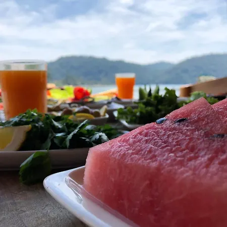 Pine & Luxury Concept Hotel *