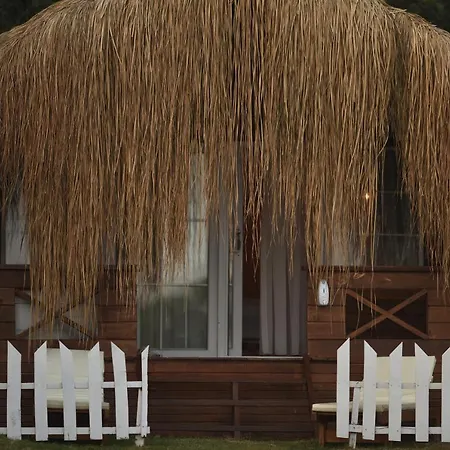 Hotel Pine & Luxury Concept