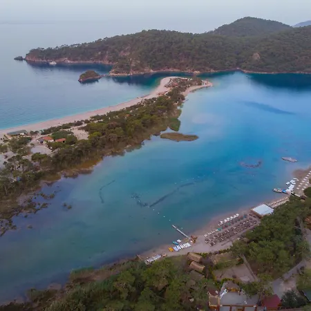 Pine & Luxury Concept Hotel