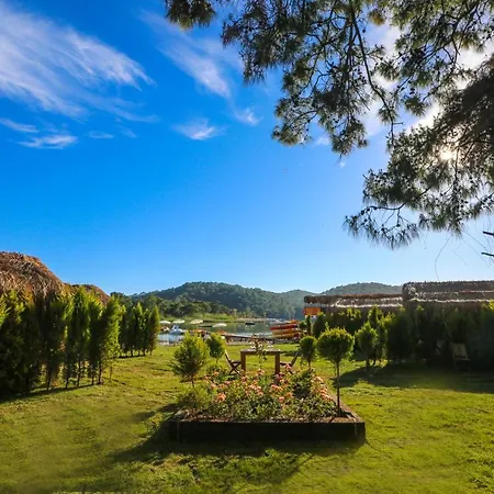 Hotel Pine & Luxury Concept *