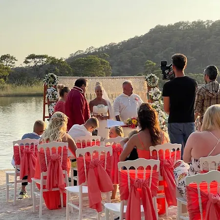 Hotel Pine & Luxury Concept