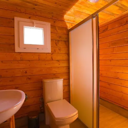 Hotel Pine & Luxury Concept *