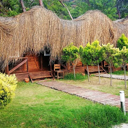 Hotel Pine & Luxury Concept Oludeniz