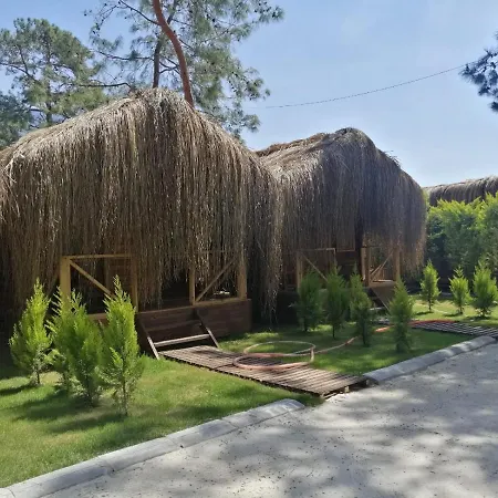 Pine & Luxury Concept Oludeniz