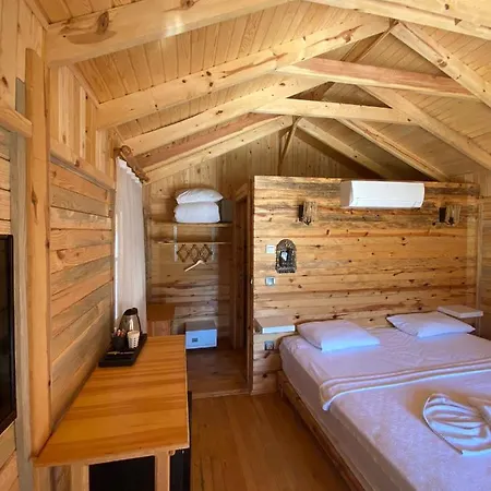 Hotel Pine & Luxury Concept