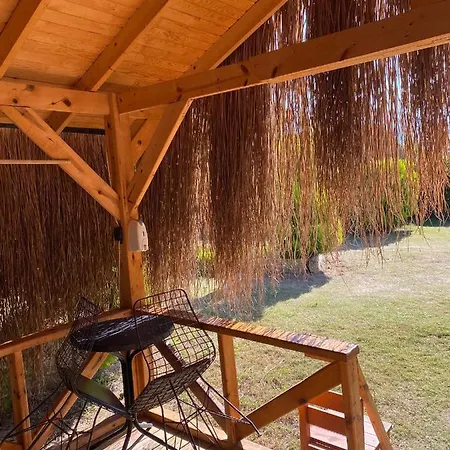 Pine & Luxury Concept *