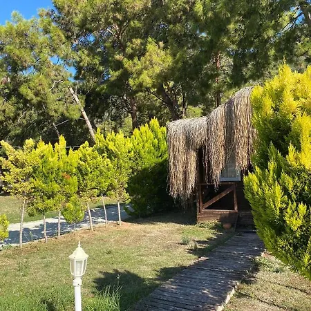 Hotel Pine & Luxury Concept Oludeniz