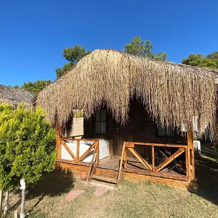 Pine & Luxury Concept Oludeniz