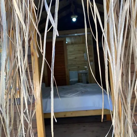 Pine & Luxury Concept Hotel Oludeniz