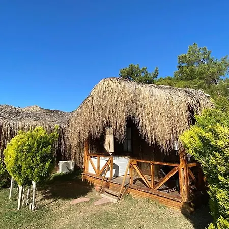 Pine & Luxury Concept מלון