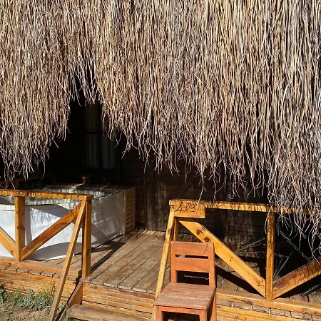 Pine & Luxury Concept Hotel