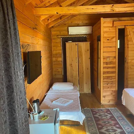 Pine & Luxury Concept