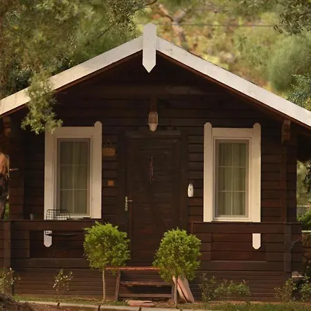 Pine & Luxury Concept Hotel Oludeniz