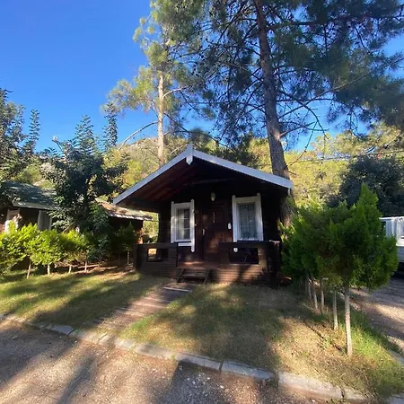 Pine & Luxury Concept Oludeniz