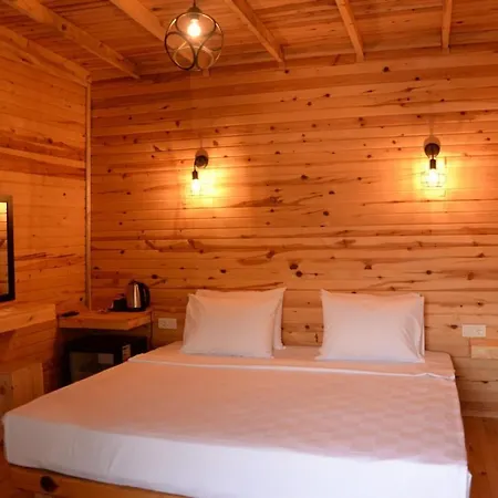 Pine & Luxury Concept *