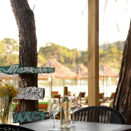 Hotel Pine & Luxury Concept