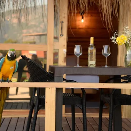 Pine & Luxury Concept Hotel