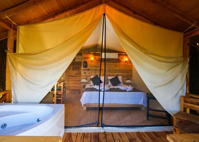 Hotel Pine & Luxury Concept