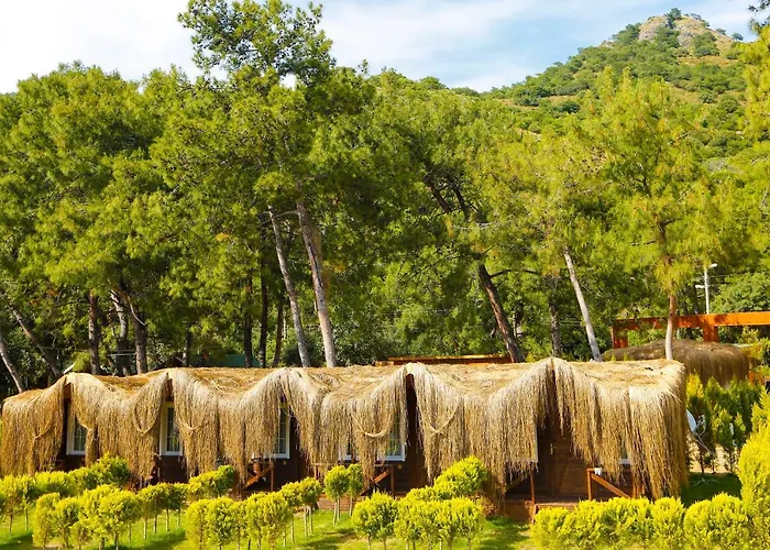 Pine & Luxury Concept * Ölüdeniz