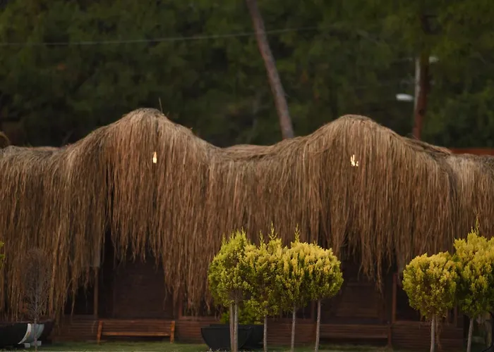 Hotel Pine & Luxury Concept Oludeniz