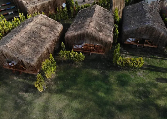 Pine & Luxury Concept *