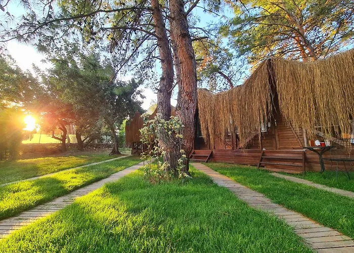 Pine & Luxury Concept Hotel Ölüdeniz