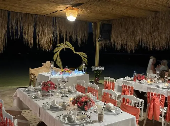 Pine & Luxury Concept