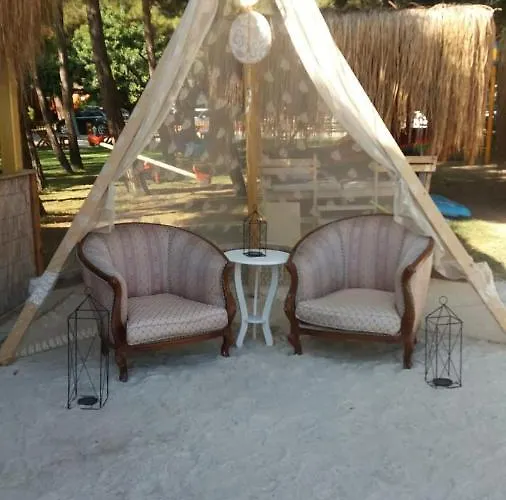 Pine & Luxury Concept