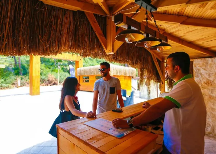 Pine & Luxury Concept