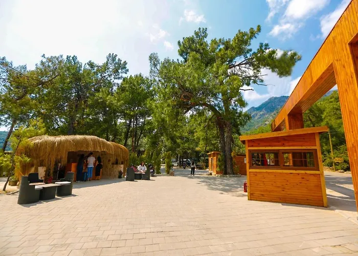 Pine & Luxury Concept Hotel *