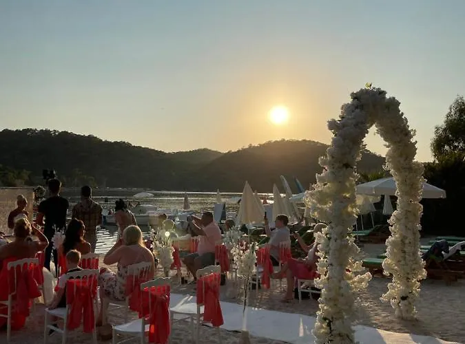 Hotel Pine & Luxury Concept *