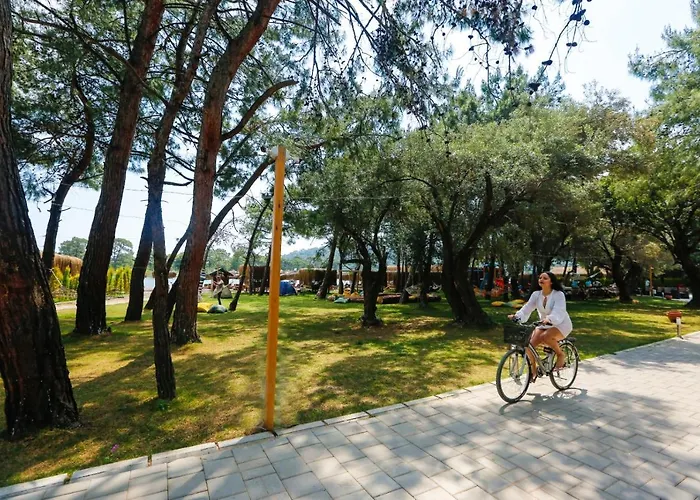 Hotel Pine & Luxury Concept