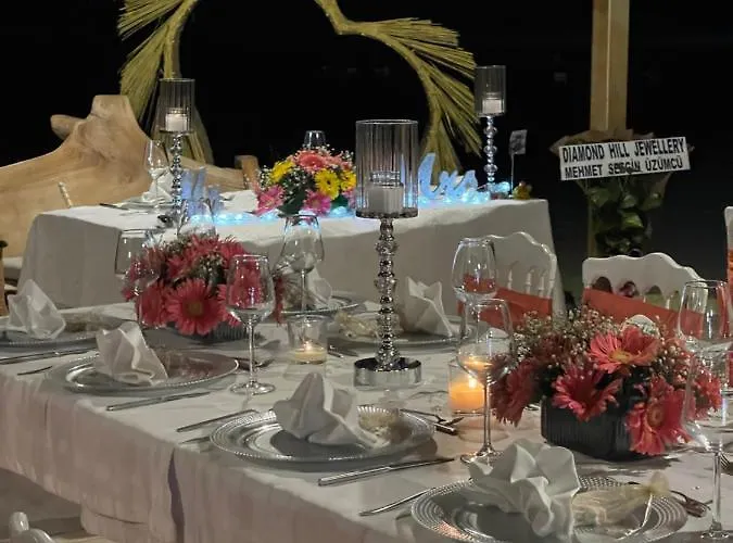 Pine & Luxury Concept *