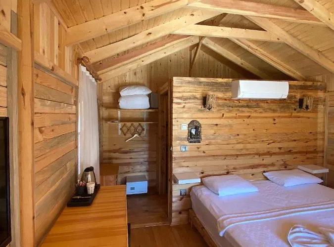 Hotel Pine & Luxury Concept