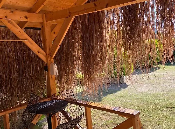 Pine & Luxury Concept *