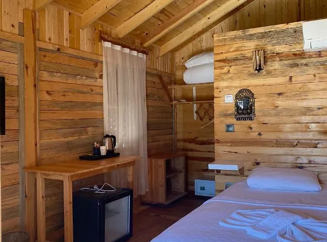 Hotel Pine & Luxury Concept