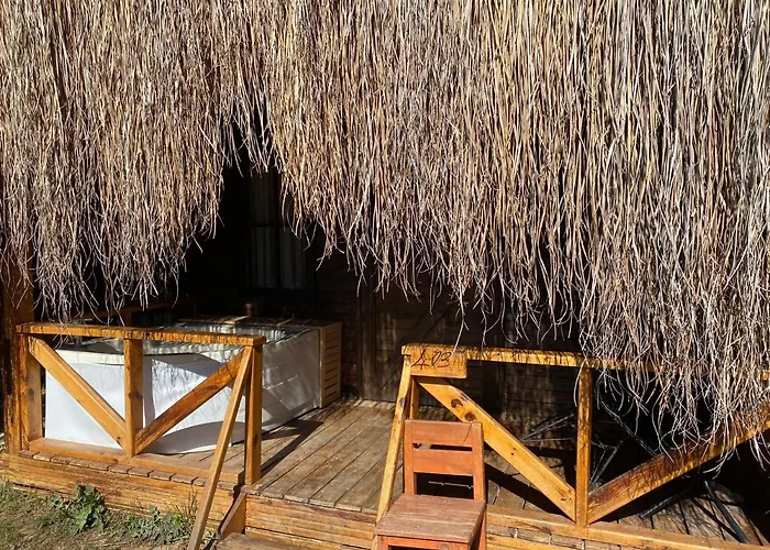 Pine & Luxury Concept Hotel