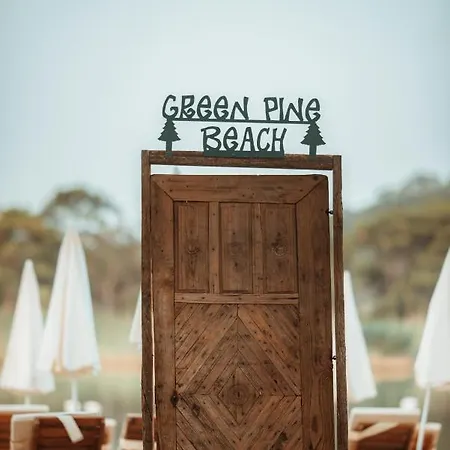 Pine & Luxury Concept