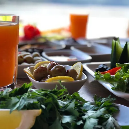 Pine & Luxury Concept Hotel *